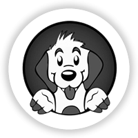 Pet Shop Perto de Voce