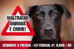 Maltratar Animais é Crime - Denuncie!