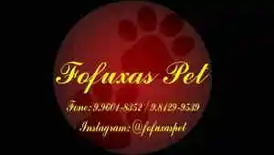 Fofuxas Pet - Banho e Tosa - Arapiraca - Alagoas
