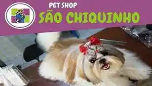 Pet Shop São Chiquinho - Arapiraca - Alagoas