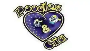 Poodles e Cia - Arapiraca - Alagoas