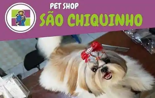 Pet Shop São Chiquinho - Arapiraca - Alagoas