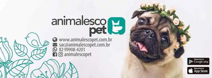 Animalesco Pet - Maceio, AL