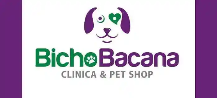 Bicho Bacana Jatiuca - Maceio, AL