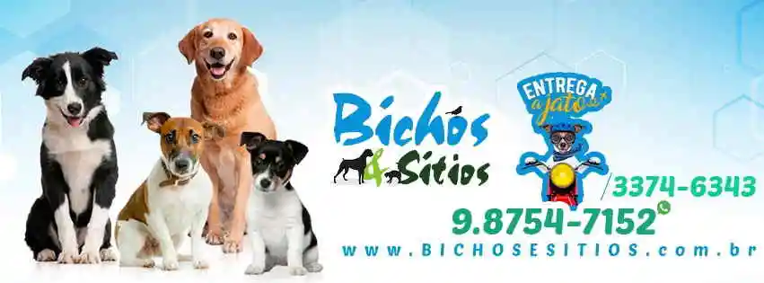 Bichos e Sítios - Maceio, AL