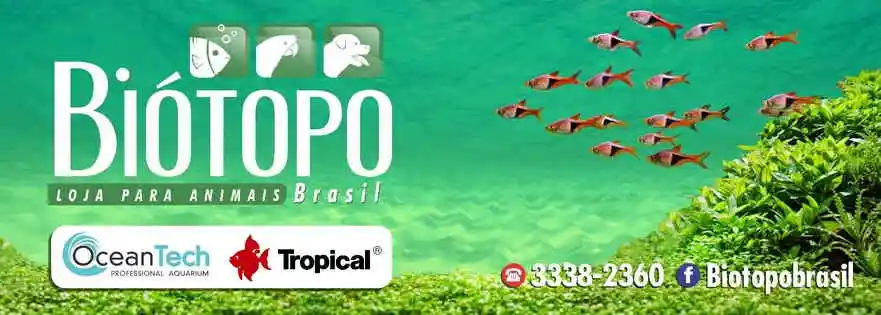 Biótopo Brasil - Maceio, AL