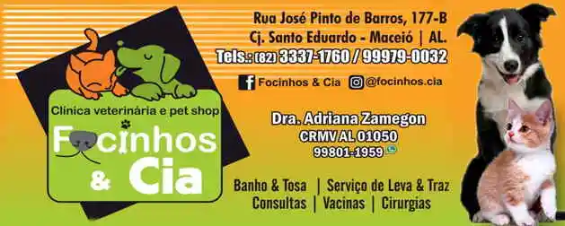 Focinhos & Cia - Maceio, AL