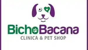 Bicho Bacana Jatiuca - Maceio, AL