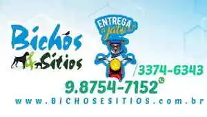 Bichos e Sítios - Maceio, AL