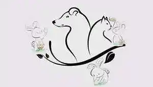 Pet Garden - Maceio, AL