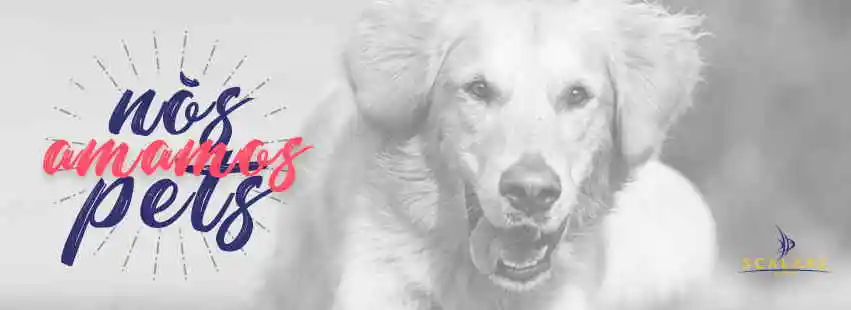 Scalare Pet Shop - Maceio, AL