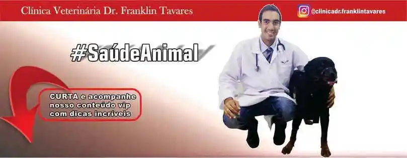 Clínica Veterinária Dr. Franklin Tavares - Palmeira dos Índios, AL
