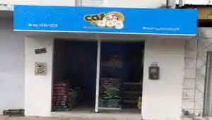 Cat Dog Alimentos para Cães e Gatos - Palmeira dos Índios, AL