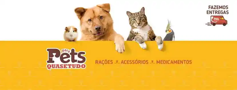 Pets Quase Tudo - Vitória, ES