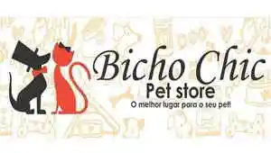 Bicho Chic Pet Store - São Luís, MA