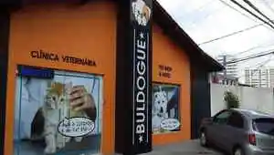 Buldogue Clínica Veterinária e Pet Shop - São Luís, MA