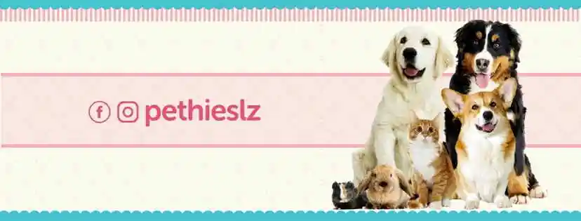 Pethiê São Luís - São Luís, MA