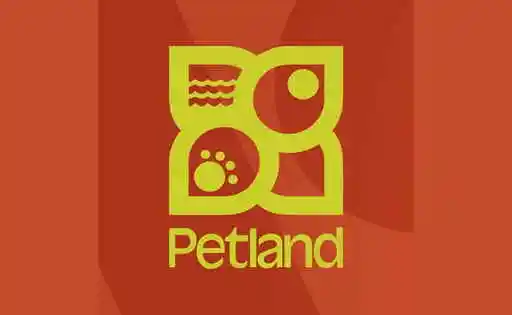 Petland Maranhão - São Luís, MA