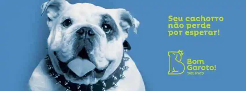 Bom Garoto Pet Shop - Belo Horizonte, MG