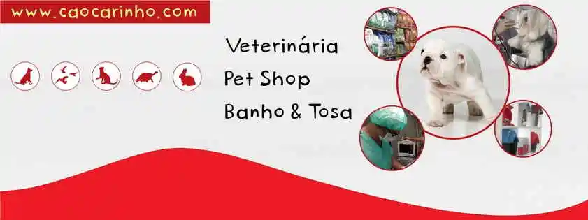 Cão Carinho - Belo Horizonte, MG