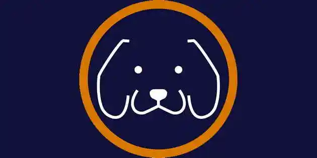 Dog's Company - Belo Horizonte, MG