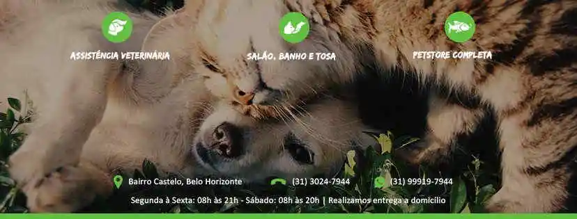 Focinho e Cia - Belo Horizonte, MG