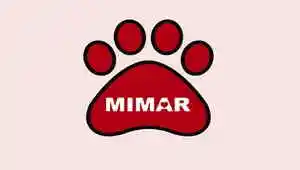Mimar Pet Shop - Belo Horizonte, MG