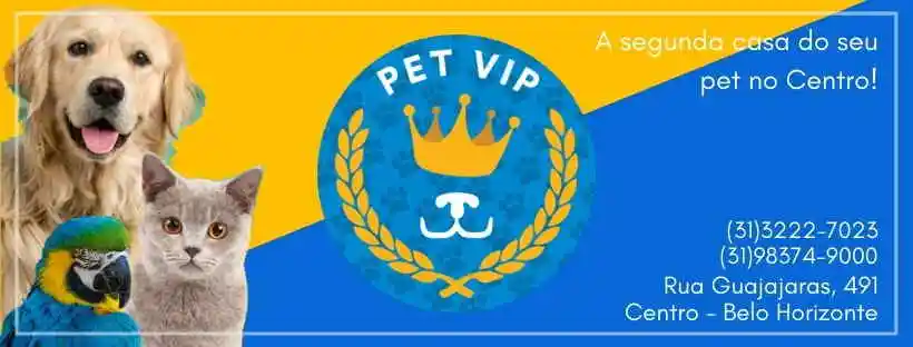 Pet Vip - Belo Horizonte, MG