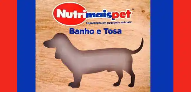Nutrimais Pet Shop - Surubim, PE