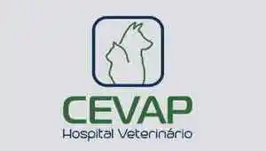 Cevap - Hospital Veterinário - Adamantina, SP