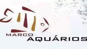 Marco Aquários - Loja de aquarismo - Adamantina, SP