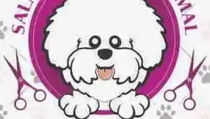 Salão de Estética Animal Amor Au Pet - Adamantina, SP