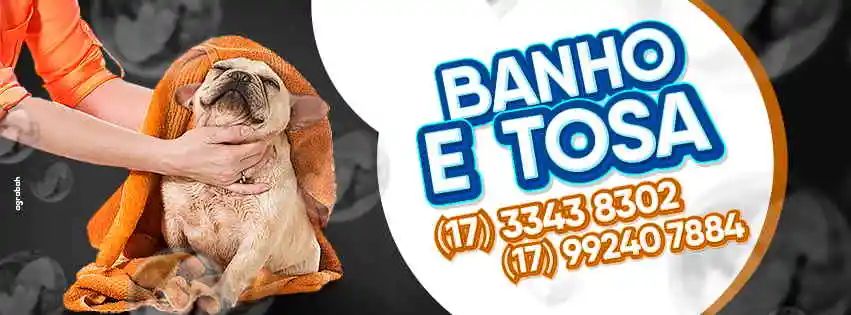 Dog Dog Pet Shop - Bebedouro, SP