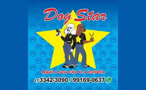 Dog Star Pet Shop - Bebedouro, SP