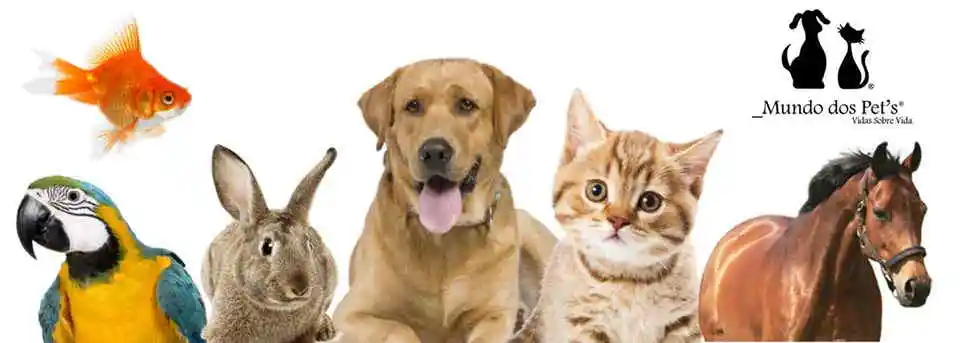 Mundo dos Pets, Suzano, SP
